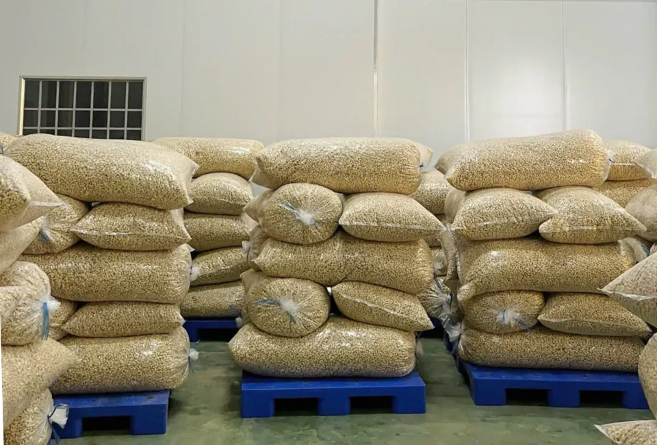 Pallet-stacked cashew bags ready to load into container