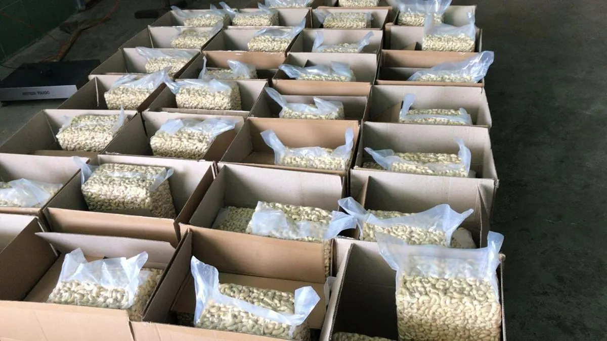 Export cartons holding vacuum bags