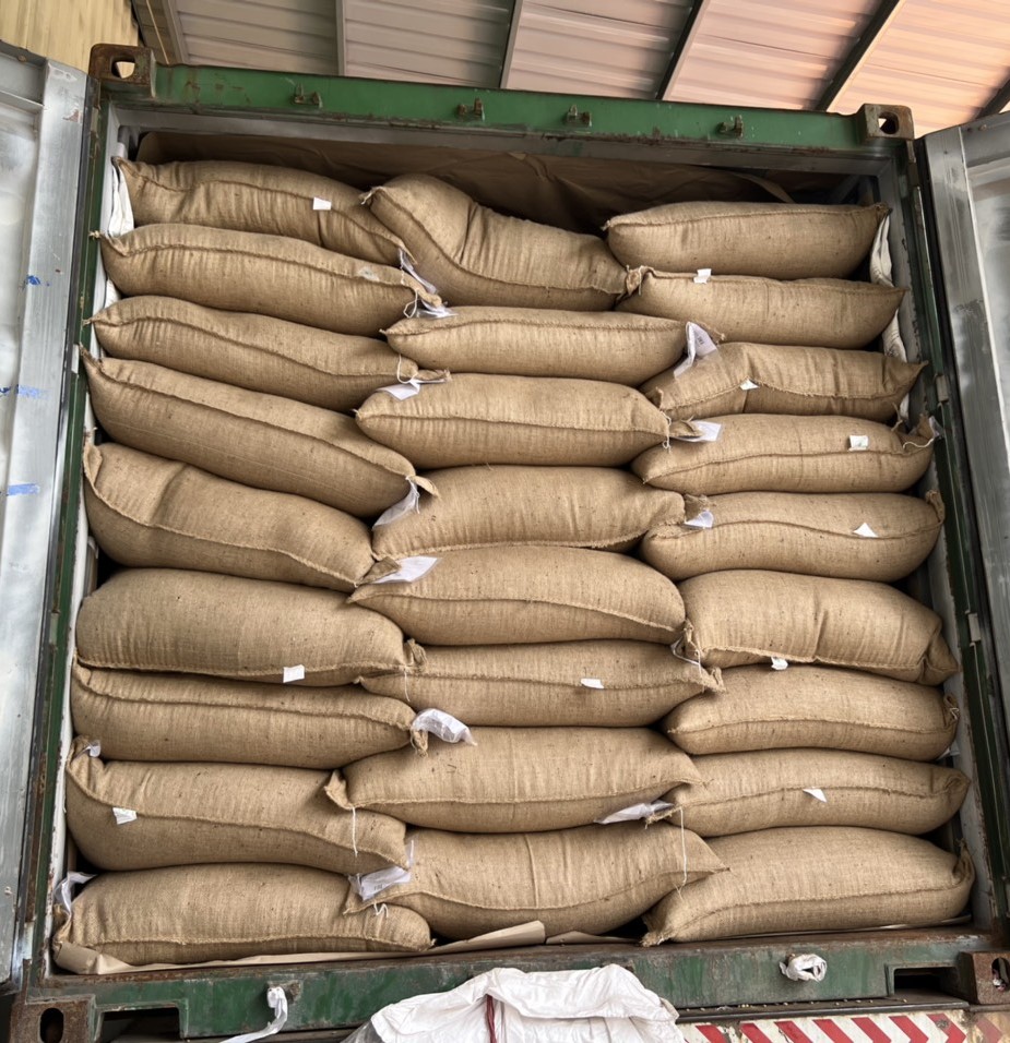 FCL container loading — roasted coffee 25kg cartons