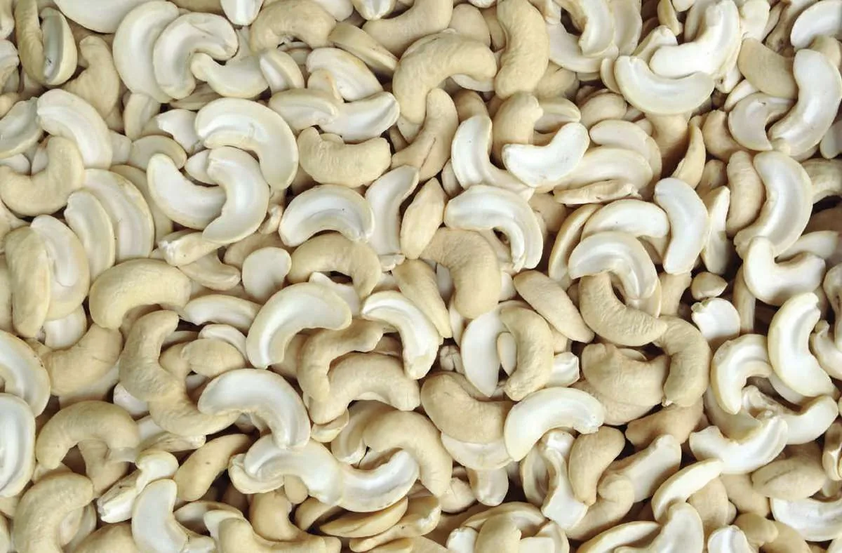 Broken Cashew Kernels