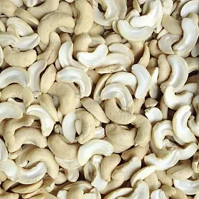 Broken Cashew Kernels