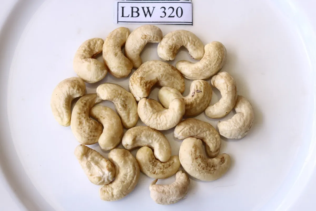 LBW320
