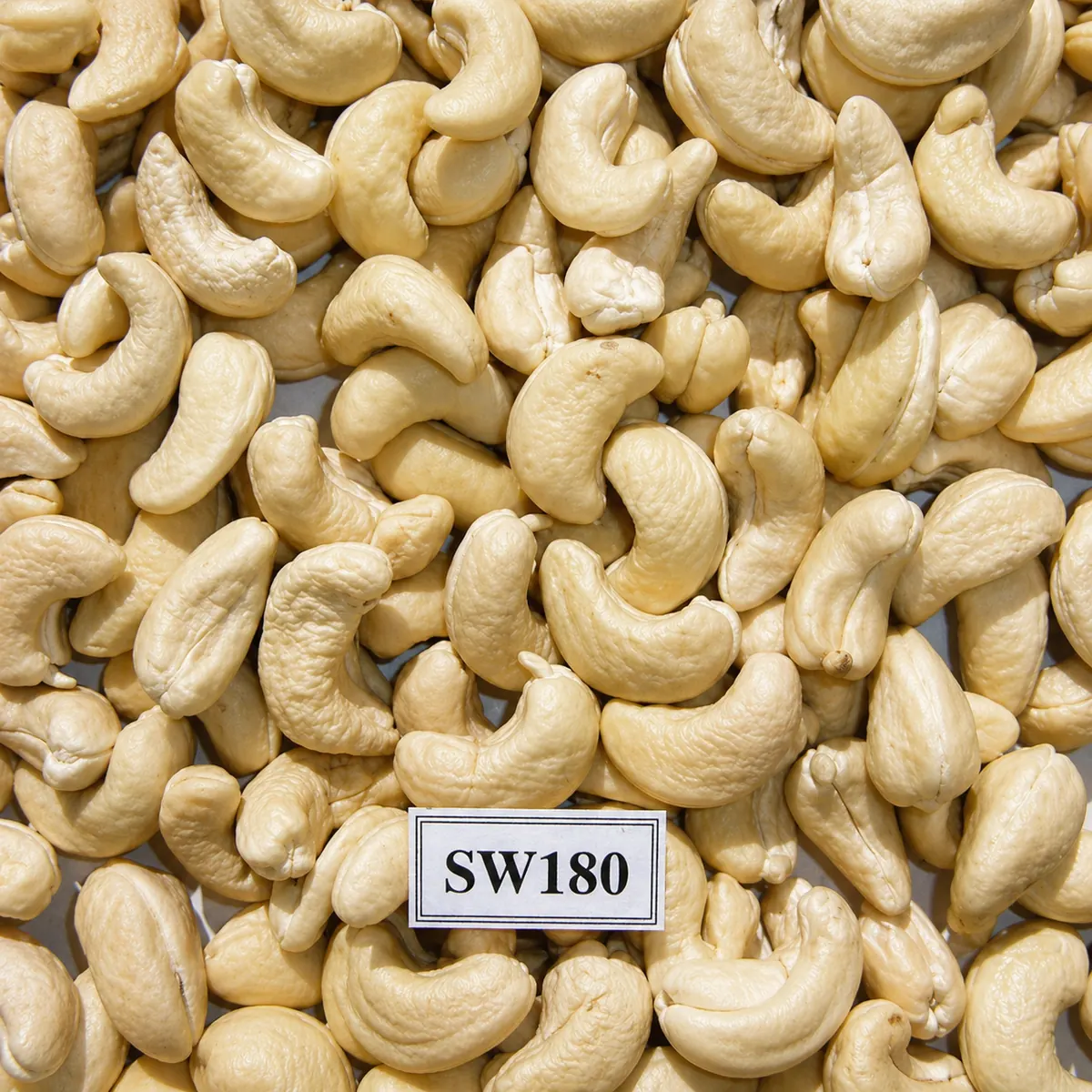 SW180 — ảnh 2