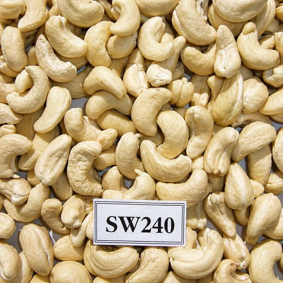 SW240 — ảnh 2