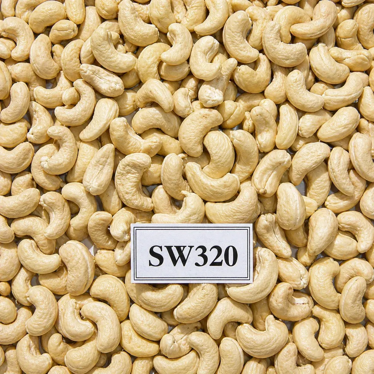 SW320 — ảnh 2