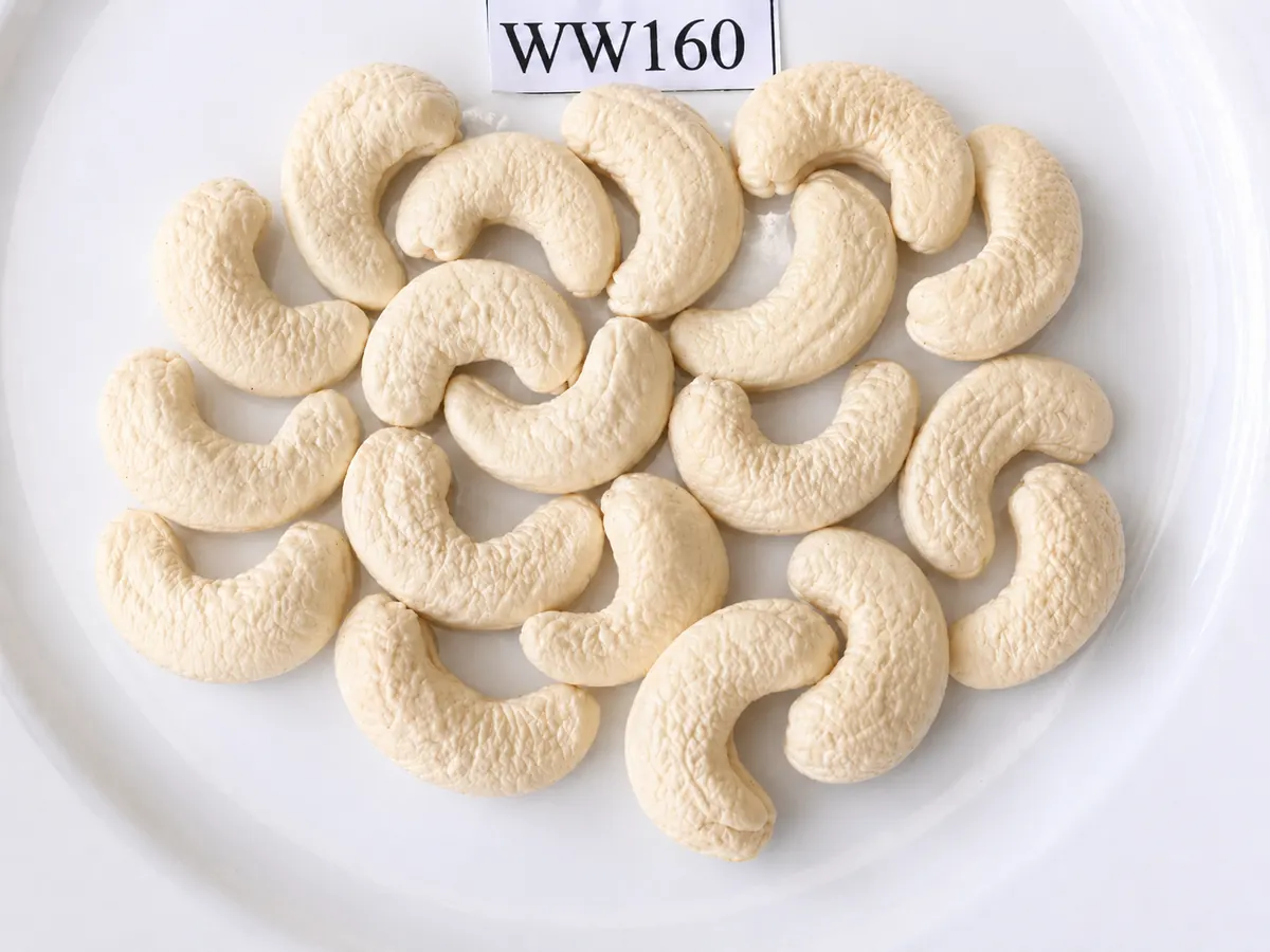 WW160 — ảnh 2