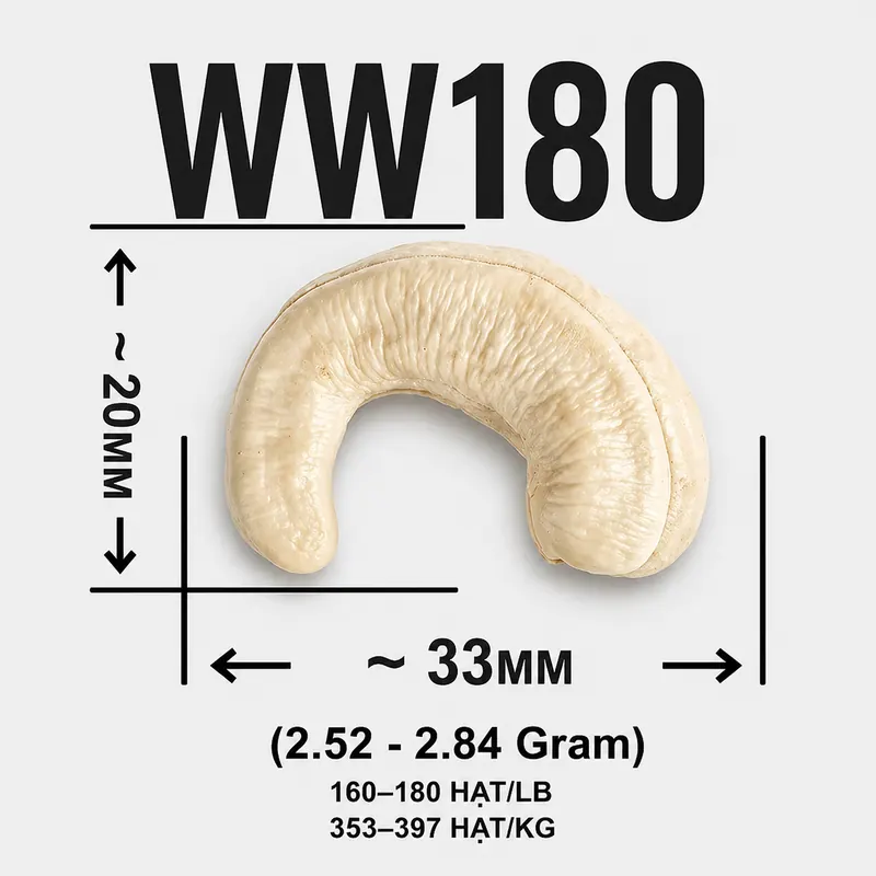 Hạt Điều WW180 — ảnh 4