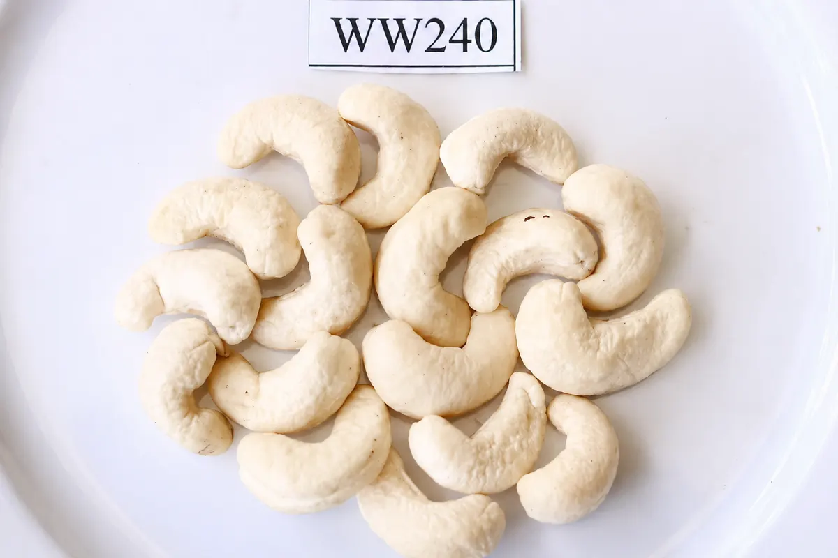 WW240 — ảnh 2