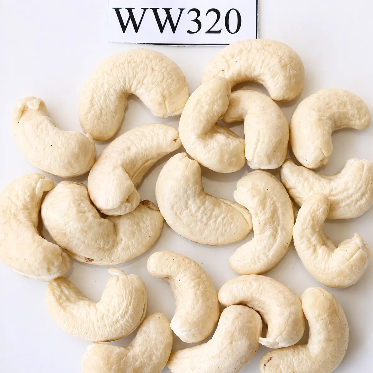 WW320 — ảnh 2