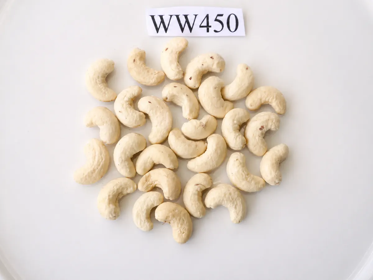 WW450 — ảnh 2