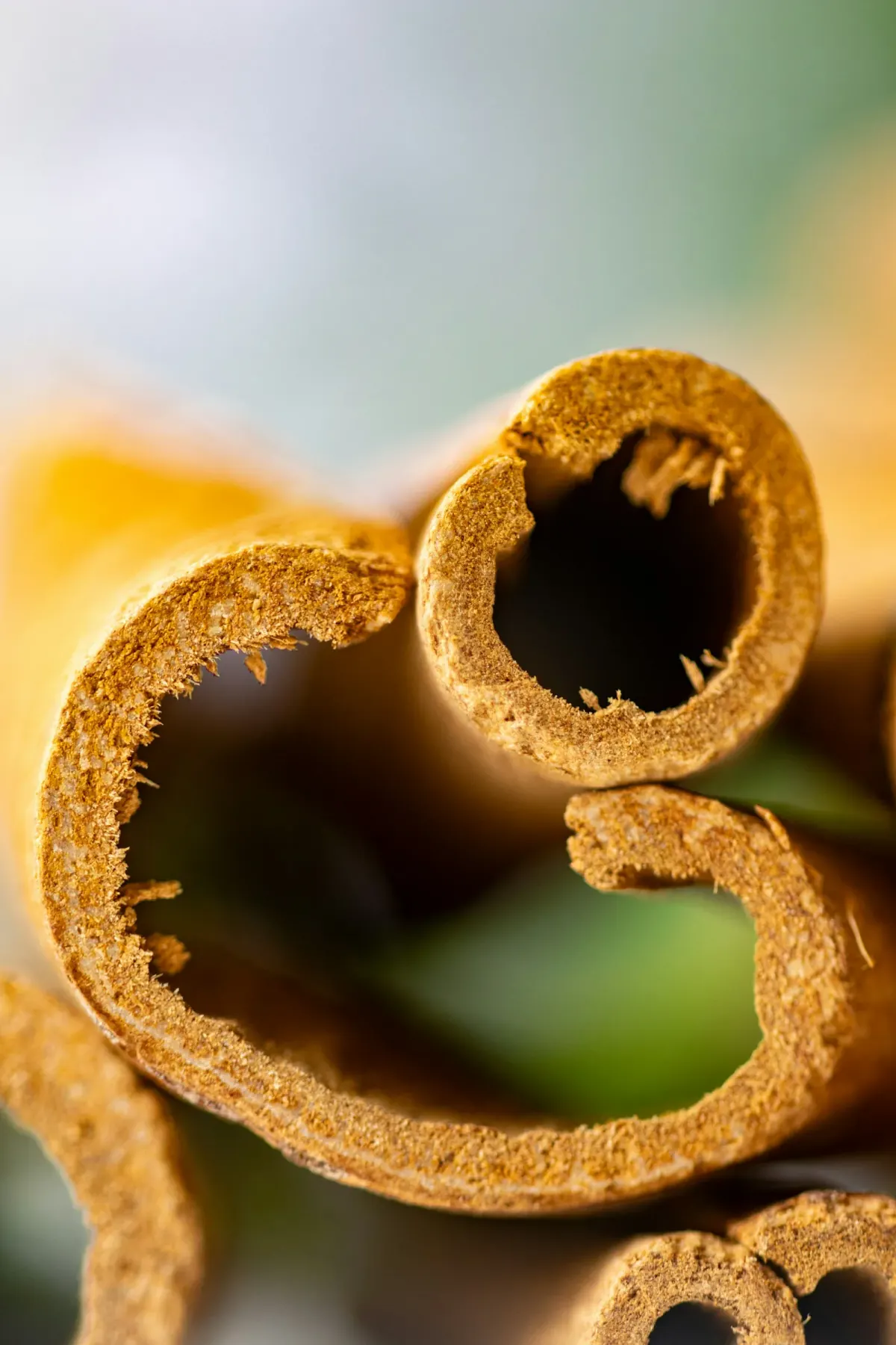 Cinnamon