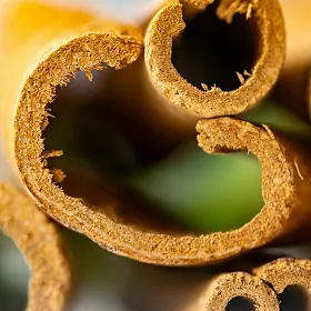 Cinnamon