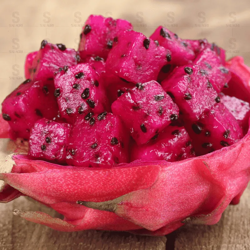 IQF Frozen Dragon Fruit — ảnh 2