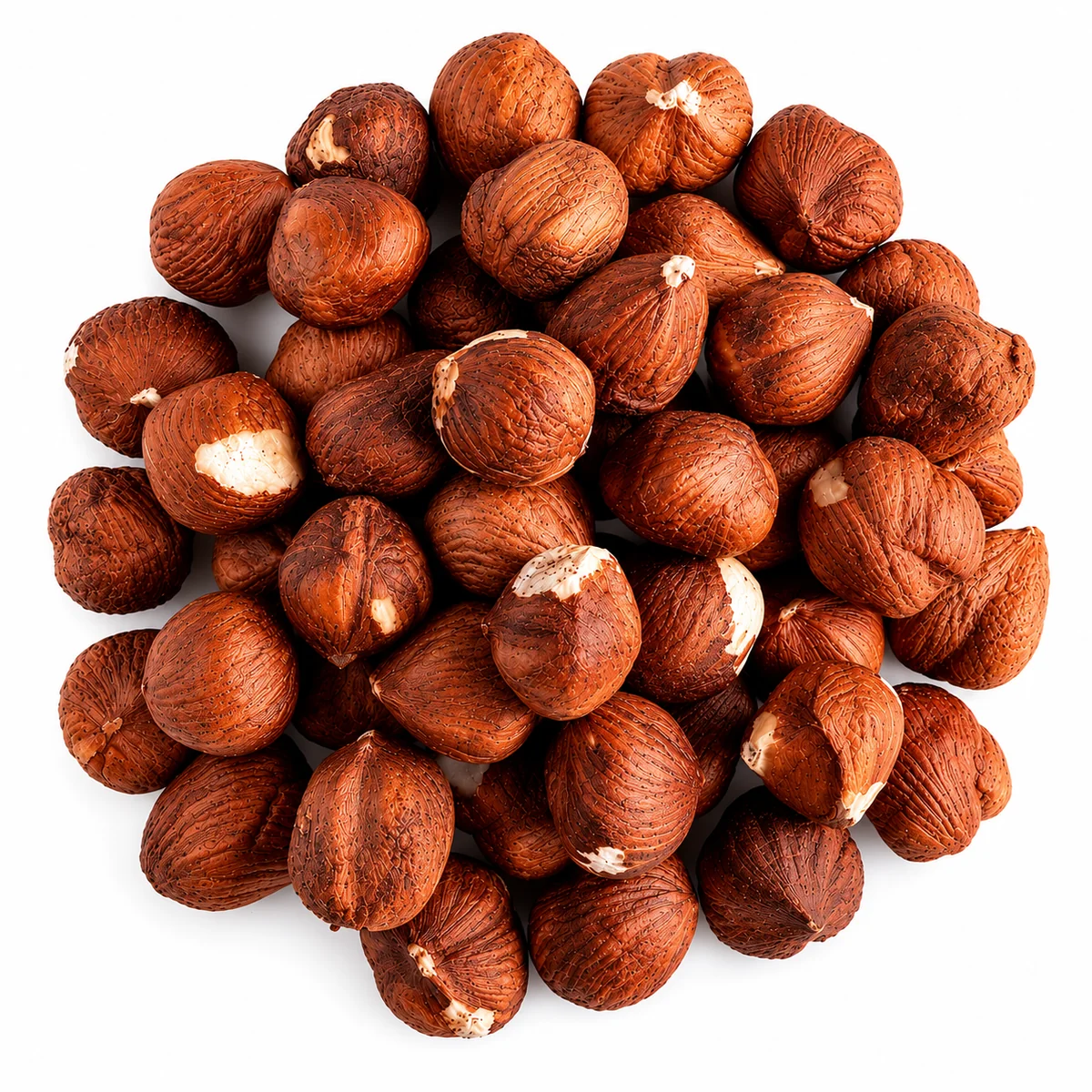 Hazelnut — ảnh 3