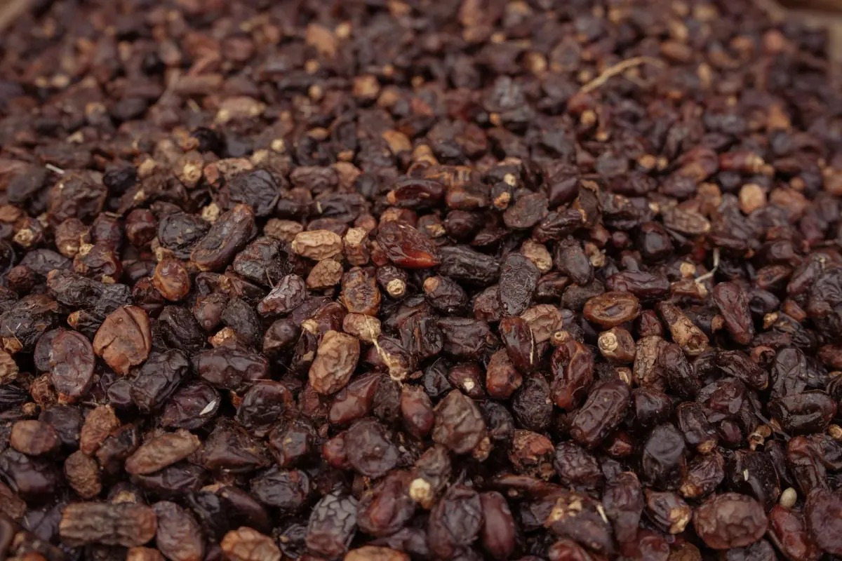 Raisins — ảnh 3
