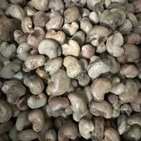 Raw Cashew Nuts