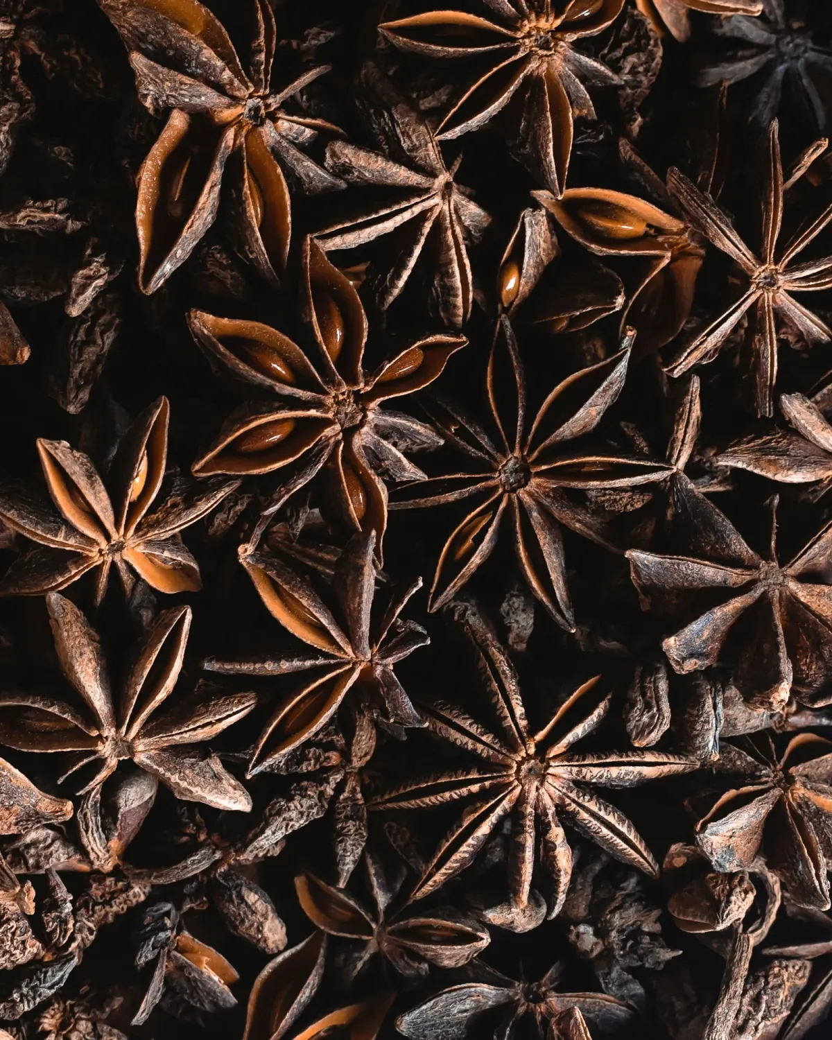 Star Anise — ảnh 2