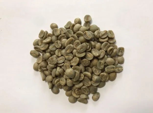 Arabica green coffee beans Full Washed S18