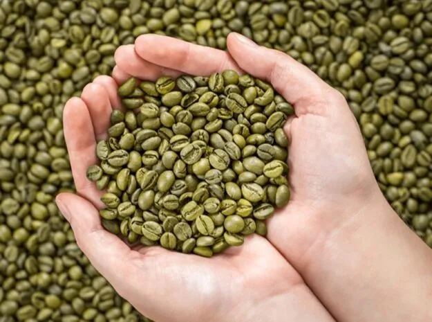 Arabica green coffee beans Wet Polished S16