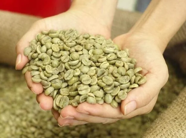 Arabica green coffee beans Wet Polished S18