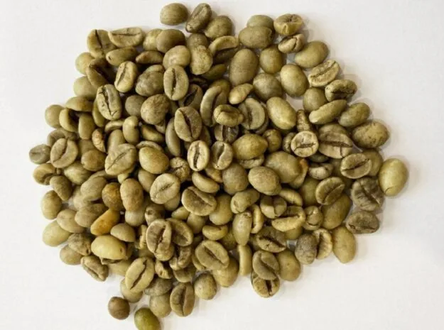 Robusta green coffee beans Wet Polished S18