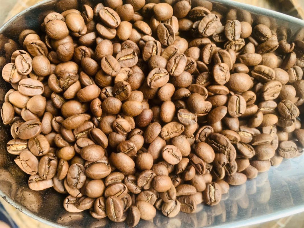 HotaNuts hot-air roasting line — Agtron-measured, profile saved per buyer