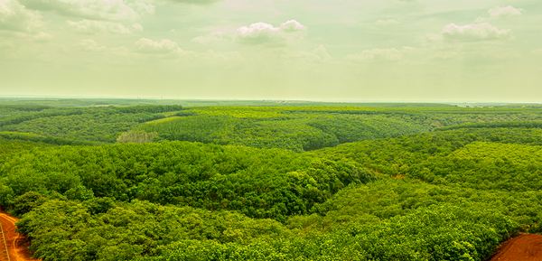 Vietnam cashew growing regions — where the HotaNuts journey began