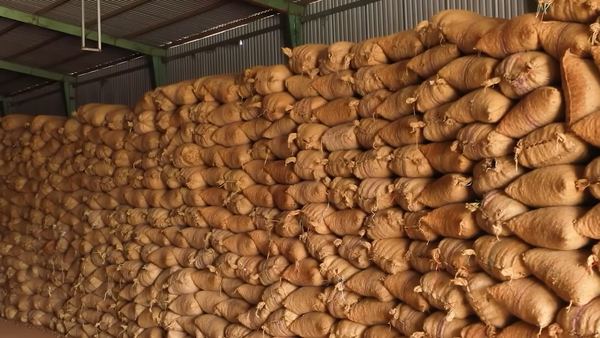 Cashew warehouse preparing for export shipment