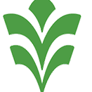 Logo Afri Ventures